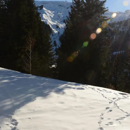 Renove Avec Cabine, Balcon Et Casier A Ski, Au Centre De Foret - Fr-1-425-154 * Flaine